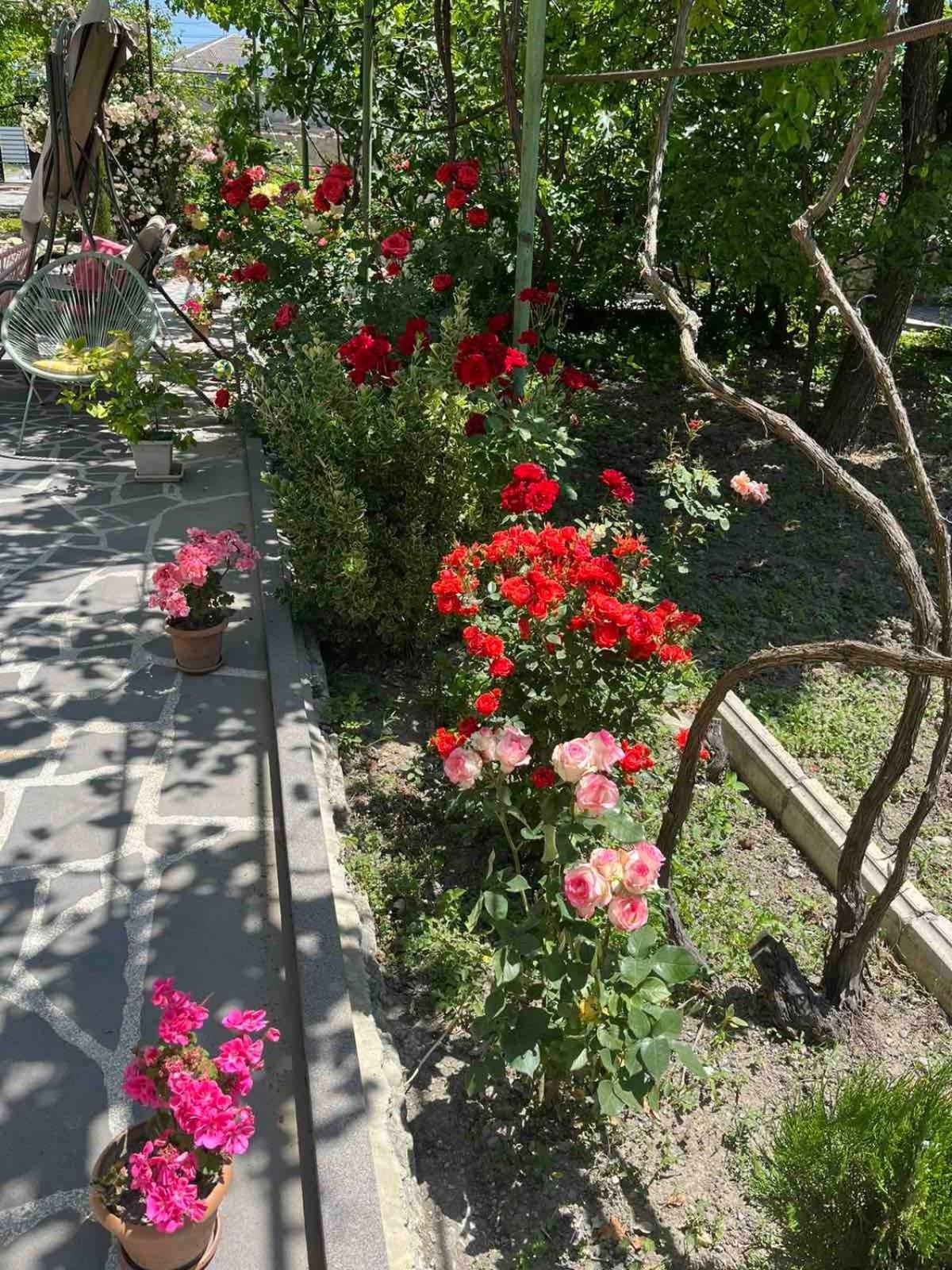 Ekas Rosengarten Gori Extérieur photo