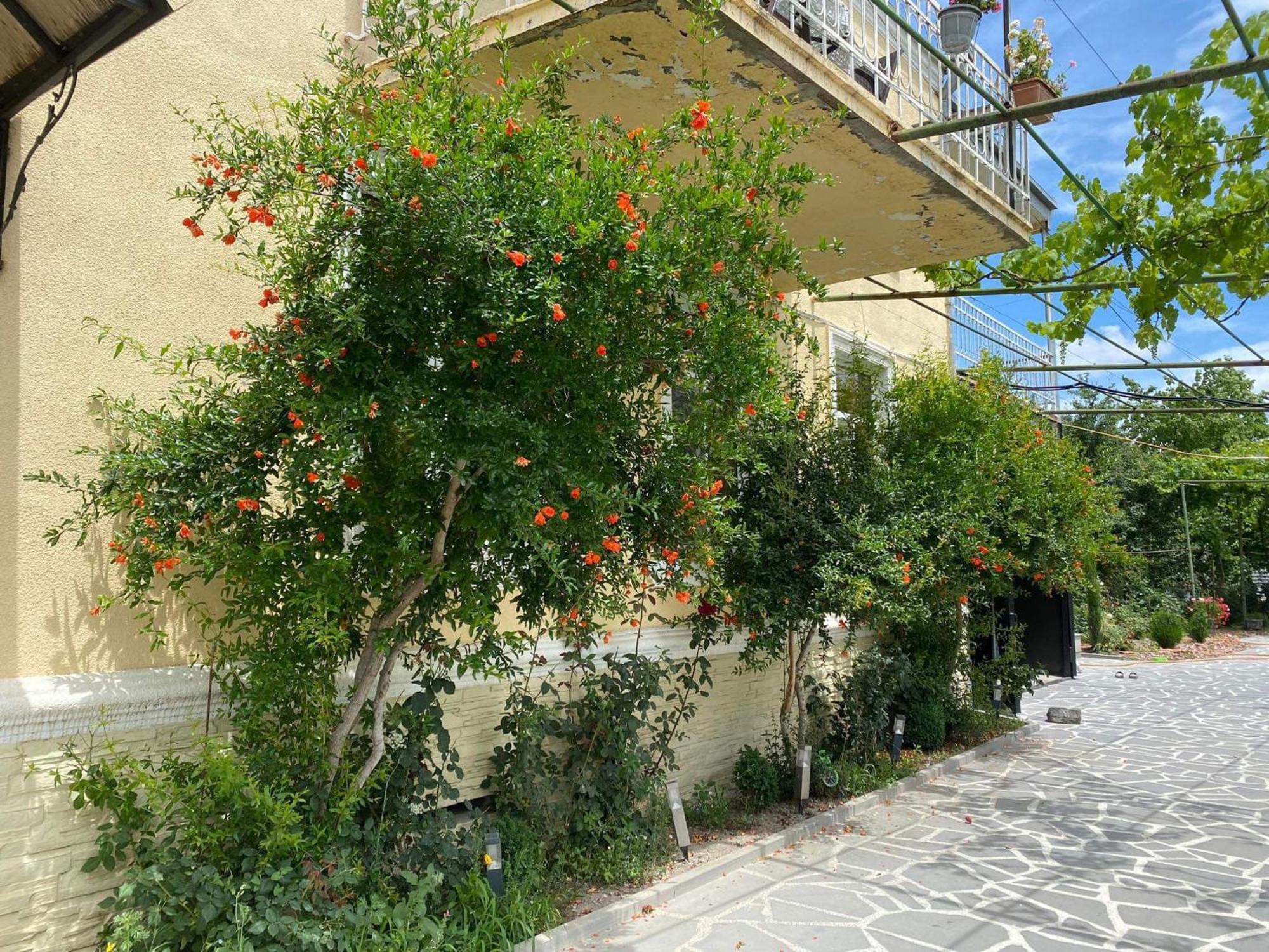 Ekas Rosengarten Gori Extérieur photo